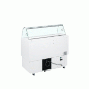 Vitrine ventilée pour glace FIJI 7 Blanc TEFCOLD_1