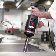 Mixeur plongeant professionnel - XM-71_1