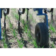 Bineuse Econet céréalière adaptée aux inter-rangs réduits de 4 à 6 m de largeur