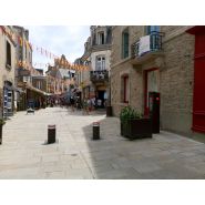 Borne escamotable automatique hydraulique pour régulation de zones piétonnes_1