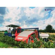 Équipement de récolte pour baies comme aronia et haskap