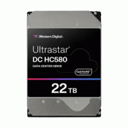 Western Digital Ultrastar DC HC580 disque dur 22 To 7200 tr/min 512 Mo 3.5