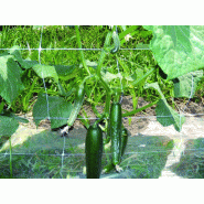 Filet à ramer blanc - maille rectangulaire 15x17cm - 500m de longueur - 2m55 de hauteur - Référence 883019_1