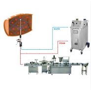 Générateur vapeur triphasé Steam Power Bacchus - 6 & 10 bar - Vinicole - Inox IPX5_1