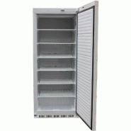 Armoire congélateur laquée blanc 600 litres | L2g - AW-RN600_1