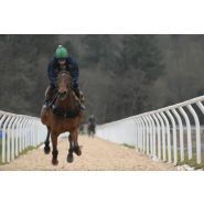 Clôture de carrière - Horse Stop - Lice Galop 1m22 en PVC - Réf. Lgpvc_1