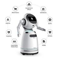 Robot D'accueil Cruzr Cloud Service Accompagnement Intelligent Ubtech Robotics_1