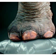 Coussin d'air - Système de calage - CIRRUS 45_1