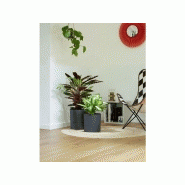 Pot rond en polypropylène - Aquaduo - Gris anthracite - Diamètre 24,3 cm - Avec réserve d'eau_1