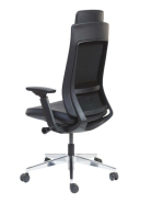 Fauteuil synchrone ALEXANDER - ergonomique avec support lombaire réglable et mécanisme de blocage en 3 positions - neuf_1