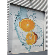 Porte sectionnelle industrielle sur mesure - ISO V40 - panneaux injectés ou vitrages, fabrication française_1