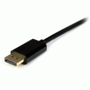 StarTech Cble Mini DisplayPort vers DisplayPort 1.2 de 4m_1