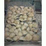 Lot de 100 sachets sous vide conservation - PA/PE transparents - SCO300400-110, SCO300500-110, SCO400600-110_1