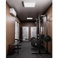 Conteneur Cargo Gym? 40 : un espace d'entraînement haut de gamme pour les passionnés de sport et les professionnels du fitness_1