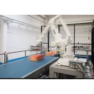 Multi AC 422 - Palettiseur automatique à palette fixe - Clevertech France - Multimarque_1