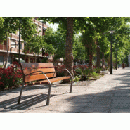 Banc neobarcino_1