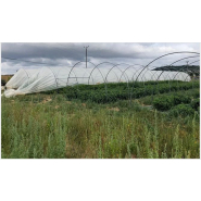 Serre tunnel économique avec bâche relevable pour pleine culture