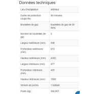 210385W - Armoire coupe-feu G90.6-2F pour 2 bouteilles de gaz de 50L - Résistance 90 min - Norme EN 14470-2_1
