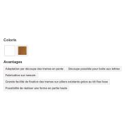 Clôture pvc cl 09 / type 09 - cg pro - remplissage vertical panneau 300 x 24 mm_1