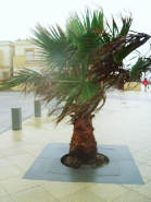 Entourage d'arbre en béton TV avec forme carrée - Ciment Blanc et gris - TV 120 120 x 120 x 8 cm - TV 160 160 x 160 x 8 cm_1