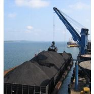 Grue portuaire fixe FCC 300 - Liebherr - force de levage max 30t - portée max 30m_1