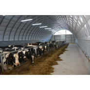 Bâtiment d'élevage pour bovin à lait - Ventilation naturelle optimale, isolation et confort acoustique - Tunnel TOUTABRI_1