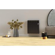 Radiateur SERIE D Wi-Fi 5 éléments 750W Graphite - Rointe - DFB0750RAD2_1
