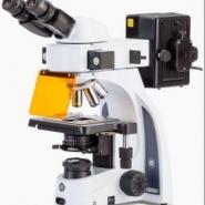 Microscope à fluorescence Euromex iScope - Éclairage mercure 100 W_1