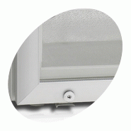 Armoire réfrigérée négative vitrée avec canopée LED - 113 L | Tefcold - UF100GCP_1
