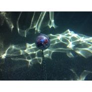 Échantillonneur CLAM par extraction SPE - submersible compact et autonome jusqu'à 36 heures_1
