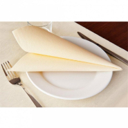 Serviette airlaid ivoire 40x40cm par 700_1