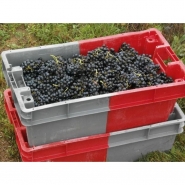 Bac gerbable emboitable allibert 11032 - sn110305aa_1