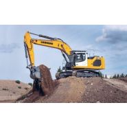 R 938 pelle de démolition_1