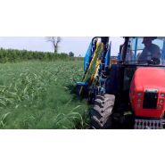 Récolteuse de fenouil F 285 - Carpi Meccanica S.N.C - mono-rang, demi-portée, courroies et tri hydraulique_2