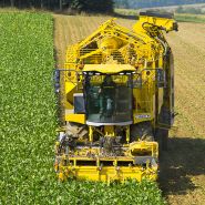 Arracheuse de betteraves Tiger 6 - ROPA France - Moteur 700 CV ou 768 CV - Respect du sol et performance accrue_2