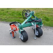 Fraise intercep - Clemens interceps_1