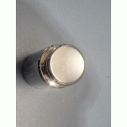 Poids d'étalonnage ZWIEBEL 200g classe F1 INOX_1