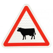 Panneau de danger A15a1 - Passage d'animaux domestiques (vache)_1