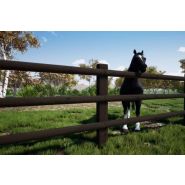 Clôture bois normandie pour chevaux - horse stop - 3 demi-lices, 1m50 - ref. Bt225-3_1