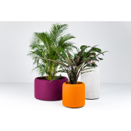 Cloison acoustique végétalisée pour un environnement apaisant et inspirant_1