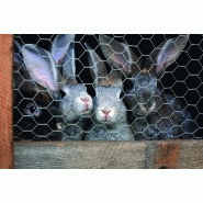 Grillage pour animaux triple torsion gris - H.1.5 x L.5 m - Maille 13x13 mm - Acier_1