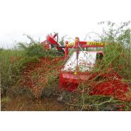 Récolteuse à baies JOANNA 4 - WEREMCZUK - puissance minimale 40 HP - productivité 0,15 à 0,25 ha/h - capacité 1150 kg_1