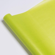 Papier kraft vert lime 0,50 x 200 m_1