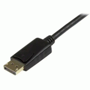 StarTech Cble adaptateur DisplayPort vers DVI-D de 91 cm_1