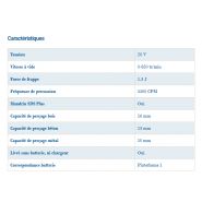 Perforateur & burineur - Hyundai - sans fil 20V - force de frappe 1.3J - HMPN20V_1