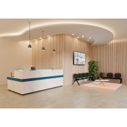 Banque d'accueil design Atlas - lignes aériennes, coloris ultra tendance et éclairage LED intégré_1