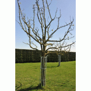 Lot de 5 corsets métal 6 branches*_1