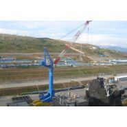 TCC 6000-60 - Grue portuaire Liebherr électro-hydraulique - Capacité de charge 5 à 60 tonnes_1