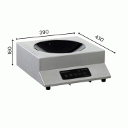Wok Induction GLW 3500W | Adventys_1