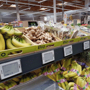 Cagette bois rectangle pm + logo bio -_1